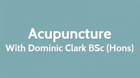 Dominic Clark Acupuncturist