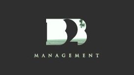 B2B Management Consultancy