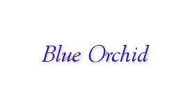 Blue Orchid Limousines